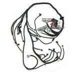 FOR 97-06 LS1 Engine w/4L60E DBC Standalone Wiring Harness4.8 5.3 6.0 Direct-Fit