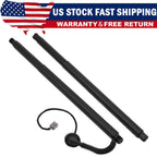 Pair For 2015-2020 Chevy Suburban Rear Trunk Tailgate Lift Gate Shock Strut