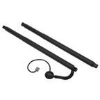 Pair For 2015-2020 Chevy Suburban Rear Trunk Tailgate Lift Gate Shock Strut