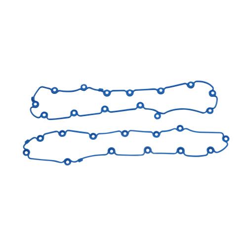 Engine Valve Cover Gasket Fits Ford F-150 1997-2003 4.6L 5.4L V8 F6AZ6584DA