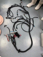 LS1 STANDALONE WIRING HARNESS T56 or Non-Electric Tran 4.8,5.3,6.0 1997-2006 DBC