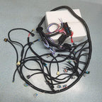 2006-2015 LS3 LS2 6.2L Standalone Harness 6L80E 58X Drive By Wire DBW NEW