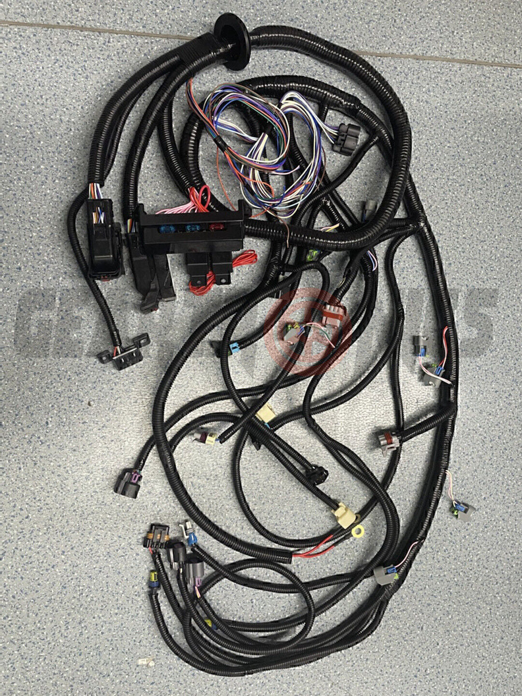 2006-2015 LS3 LS2 6.2L Standalone Harness 6L80E 58X Drive By Wire DBW NEW