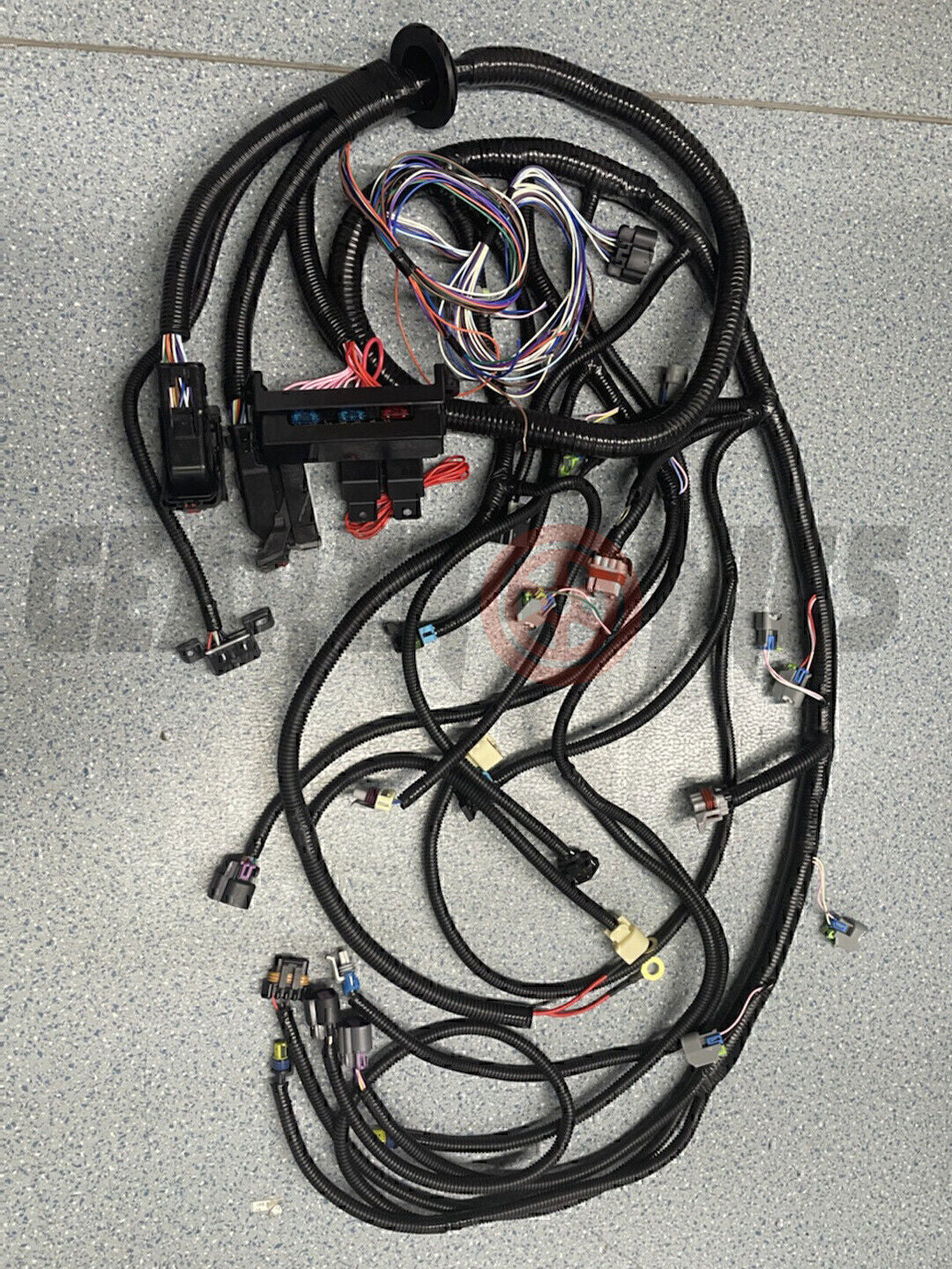 2006-2015 LS3 LS2 6.2L Standalone Harness 6L80E 58X Drive By Wire DBW NEW