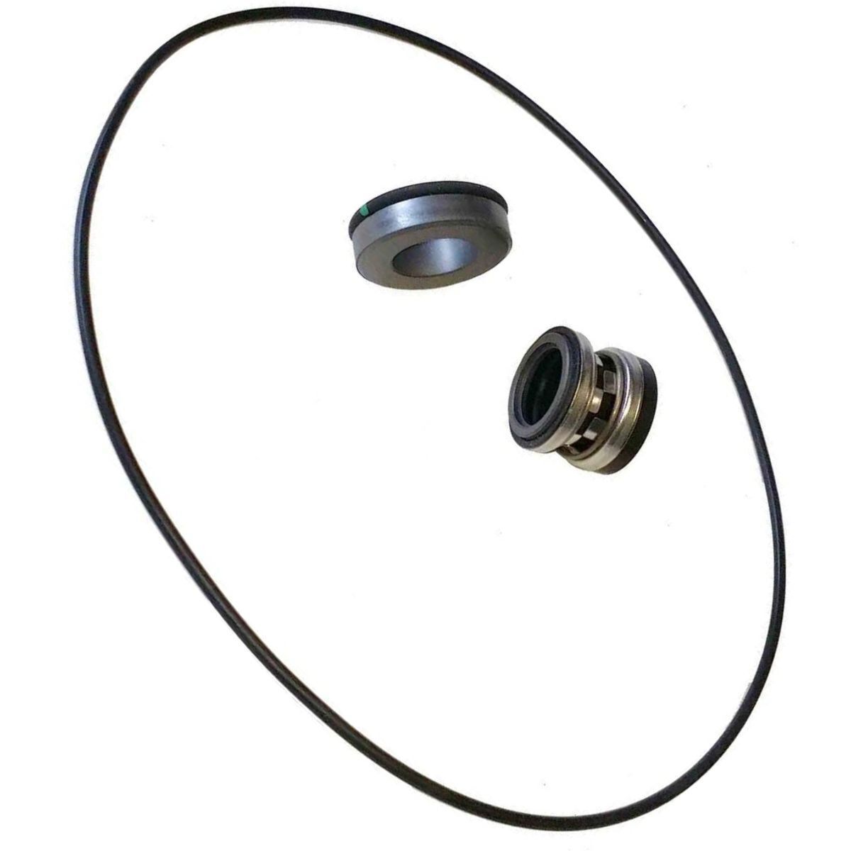 Hypro Silicon Carbide Repair Kit for 9302 & 9303 Model Pumps 3430-0589