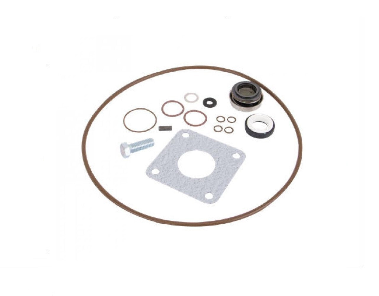 Banjo Viton Seal Kit Fits 222 Cast Iron Pumps 15999V