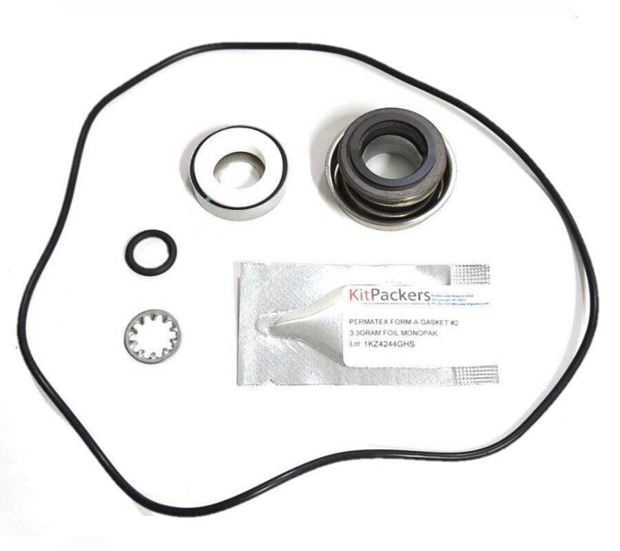Ace Repair Kit with Silicon Carbide Seal For FMC-150 Pumps (Check Description)