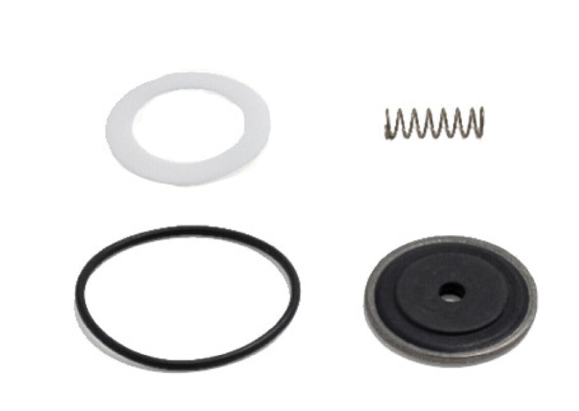 Repair Kit for 2500B and 2501B Electric Boom Shutoff Valves KT.2352
