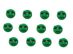 Pack of 12 - TeeJet Flat Spray Tips Green 110° Polymer w/ SS Insert Visiflo