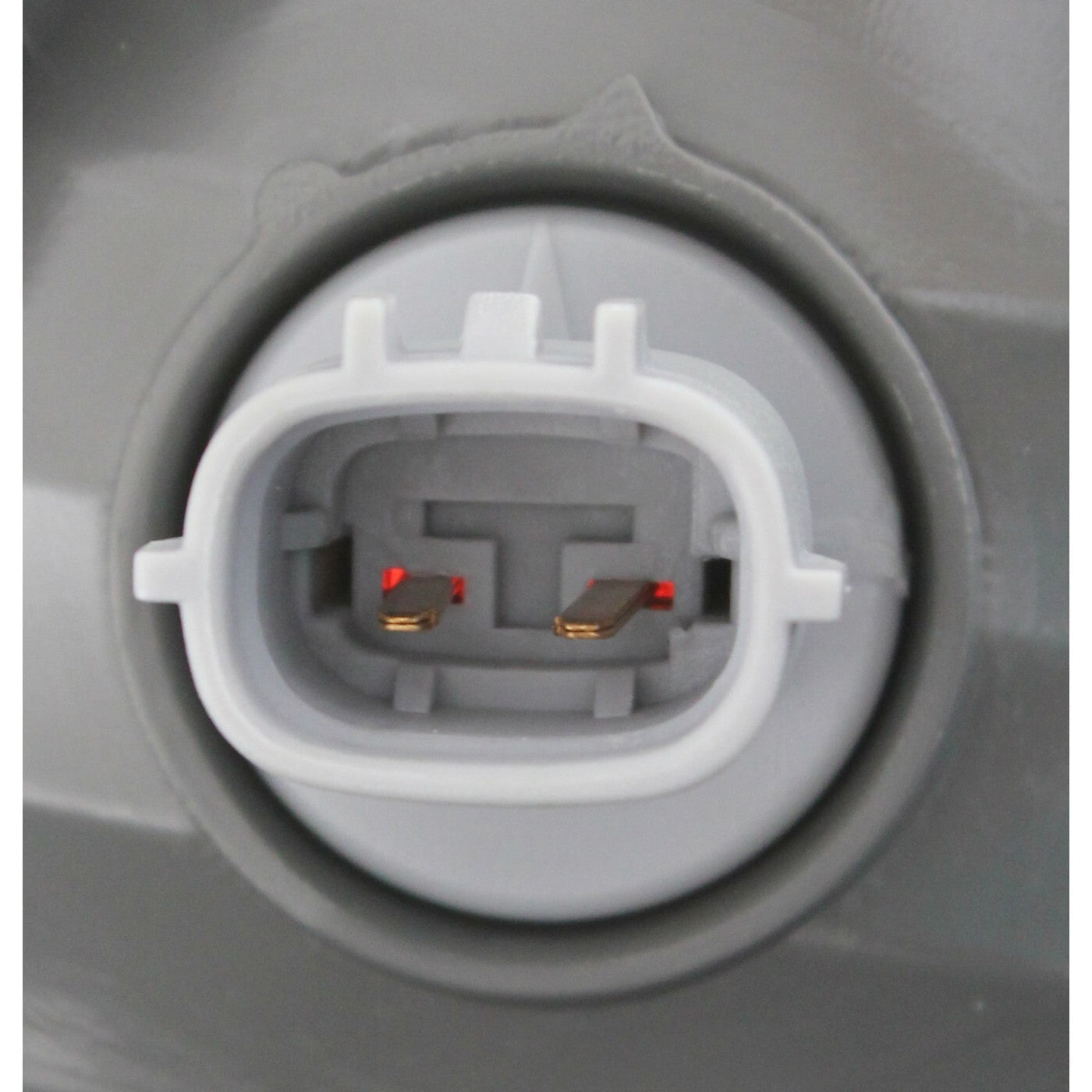 Halogen Tail Light For 2014-2021 Toyota Tundra Right Side With Bulb and Socket