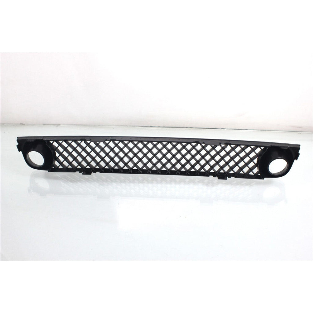 Bumper Grille For 2006-2009 Chevrolet Trailblazer Black Plastic Front 15135191