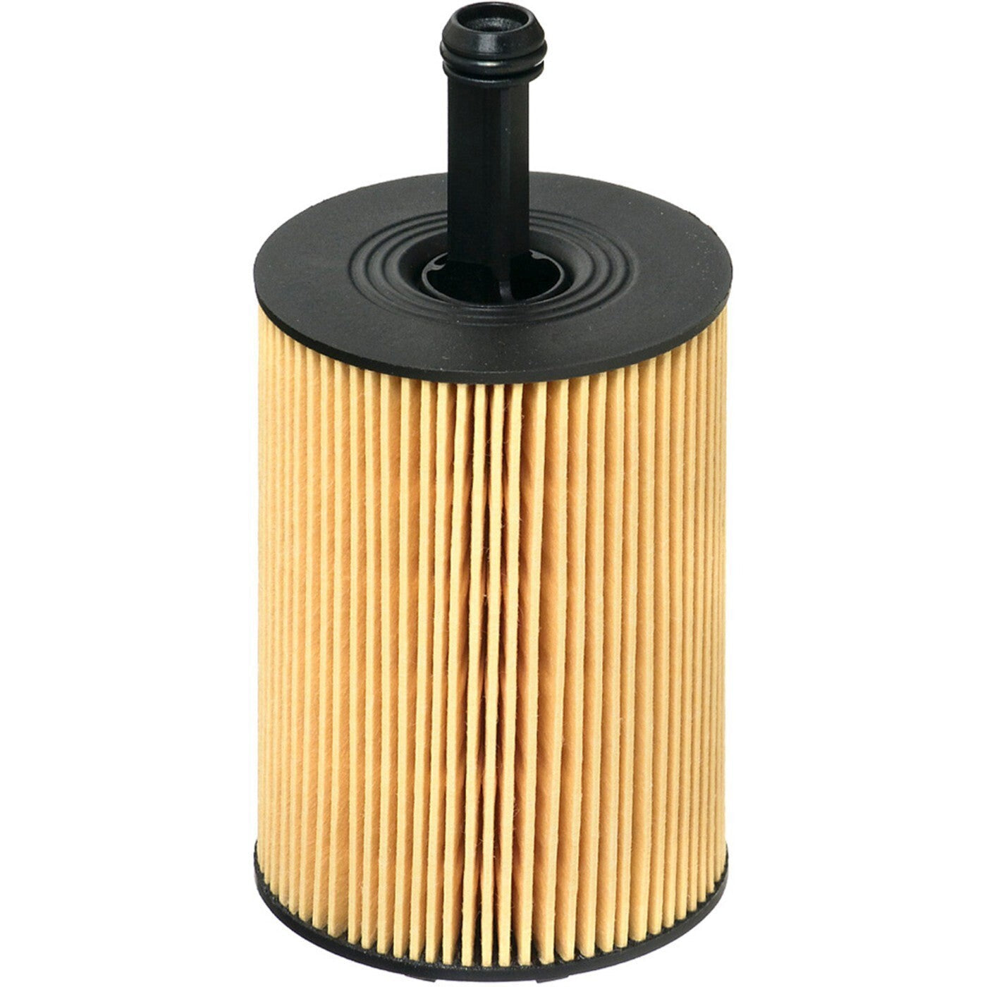 Hengst E19HD83 Oil Filters for VW Volkswagen Golf Jetta Beetle Audi A3 CC Passat