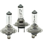 Head Light Driving Headlamp Headlight Bulbs Set of 3  Driver & Passenger Side