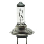 Head Light Driving Headlamp Headlight Bulbs Set of 3  Driver & Passenger Side