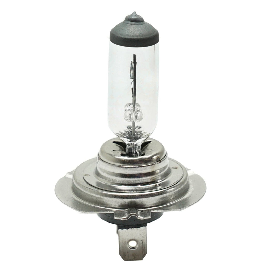 Head Light Driving Headlamp Headlight Bulbs Set of 3  Driver & Passenger Side