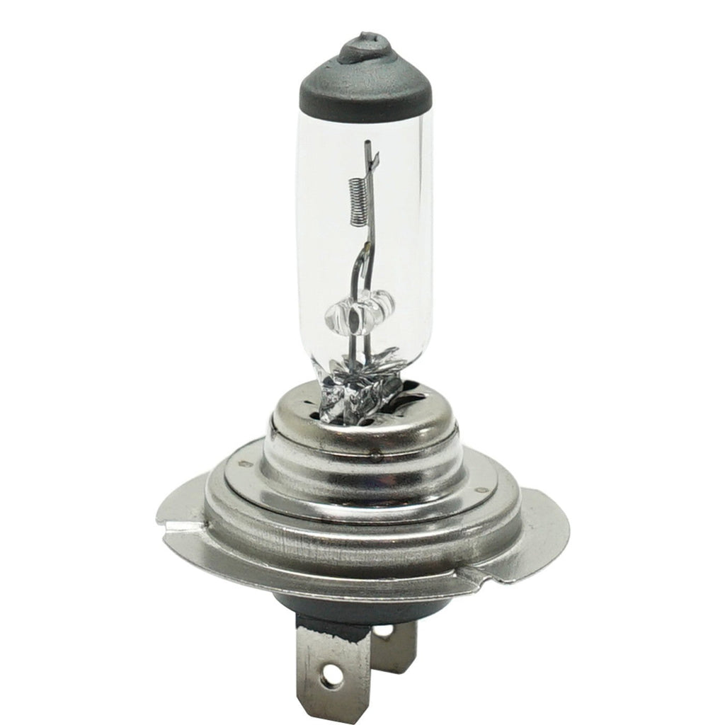 Head Light Driving Headlamp Headlight Bulbs Set of 3  Driver & Passenger Side