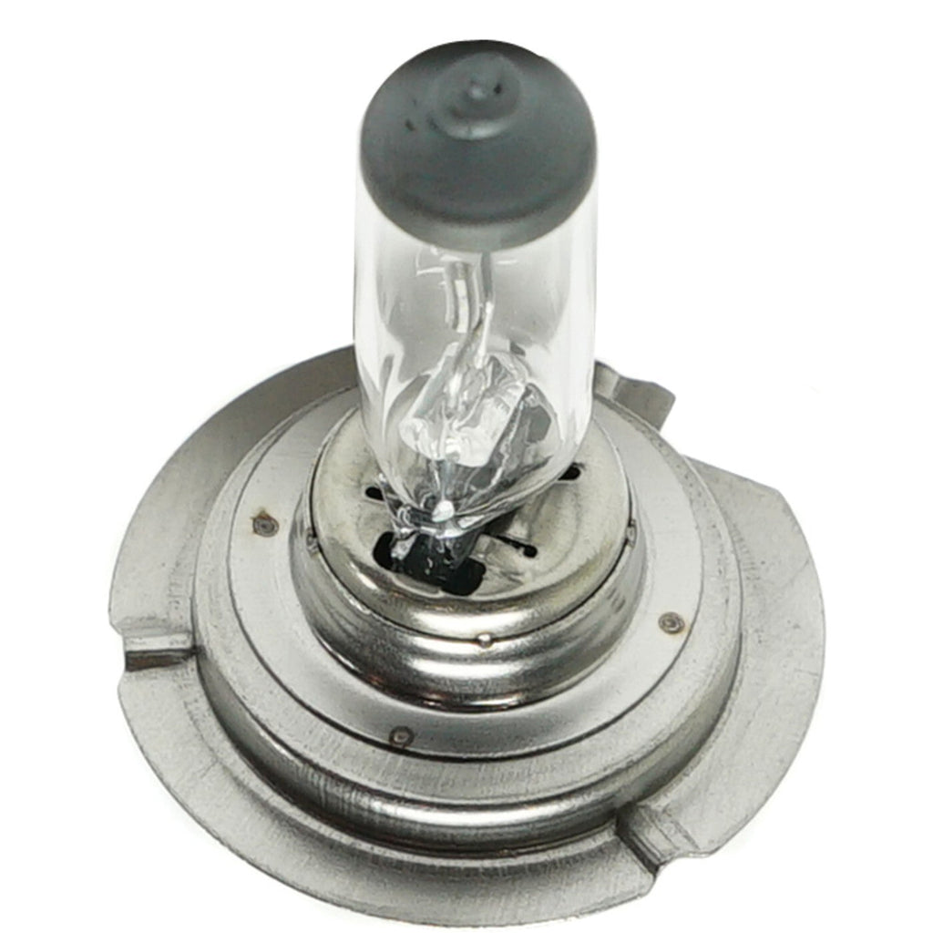 Head Light Driving Headlamp Headlight Bulbs Set of 3  Driver & Passenger Side