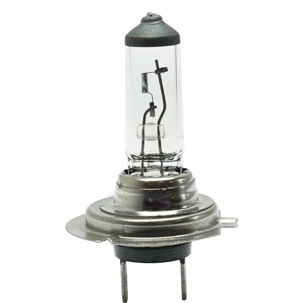 Head Light Driving Headlamp Headlight Bulbs Set of 3  Driver & Passenger Side