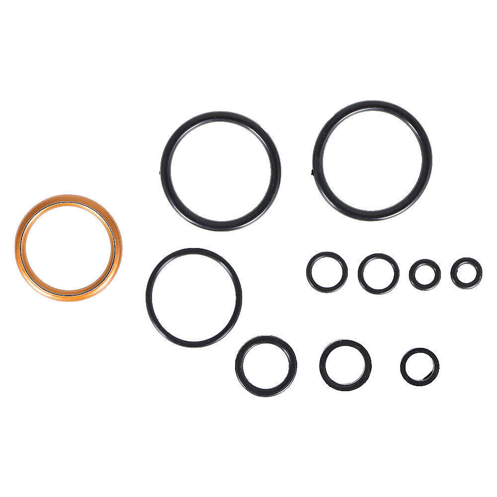 Engine Rebuild Kit For Honda Z50R Z50  Gasket Set + Oil Seals 1979-1999 New