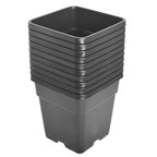 2 Gallon Re-Usable 10 Pack Square Plastic Black Nursery Pot Plant Flower Pots