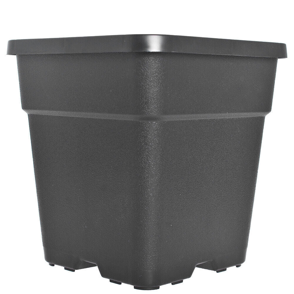 2 Gallon Re-Usable 10 Pack Square Plastic Black Nursery Pot Plant Flower Pots