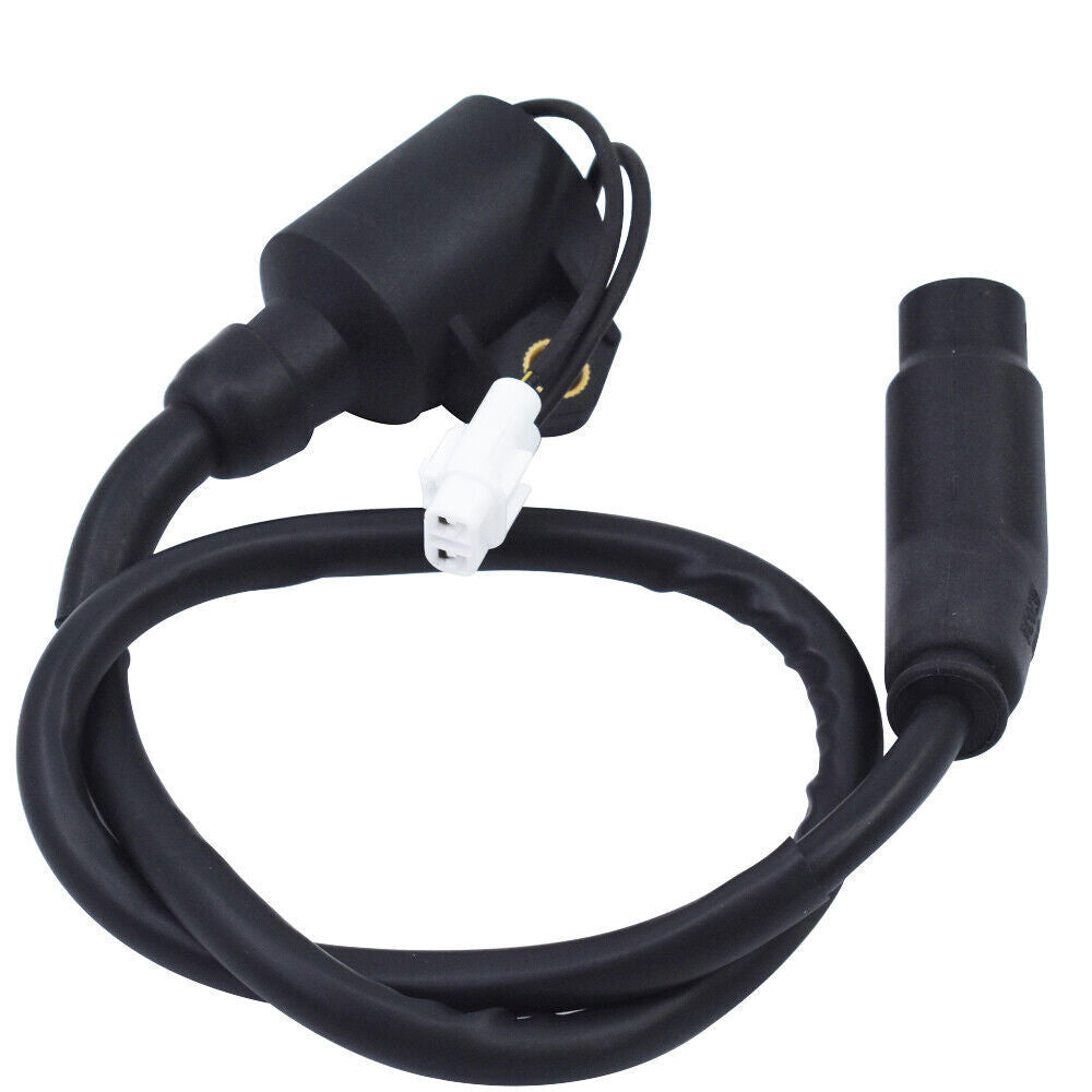 Ignition Coil For Polaris Sportsman 300 4X4 ATV 2008 2009 2010 3089910 3089860