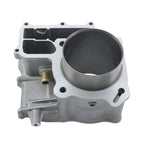 Cylinder Piston Kit 12100-HN2-00 for Honda Foreman Rubicon 500 TRX500 2001-2014