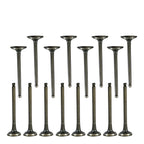 Exhaust & Intake Valves for Hyundai Accent Kia Rio 1.5L 1.6L DOHC 16v