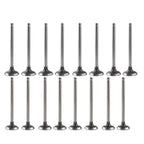 For Honda CRV Acura Integra 1.8L 1834CC B18A1 B18B Intake Exhaust Valves