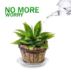 5 Pack Flowers Pot 12'' Plastic Clear Reusable Sturdy Saucer Plant Drip Trays