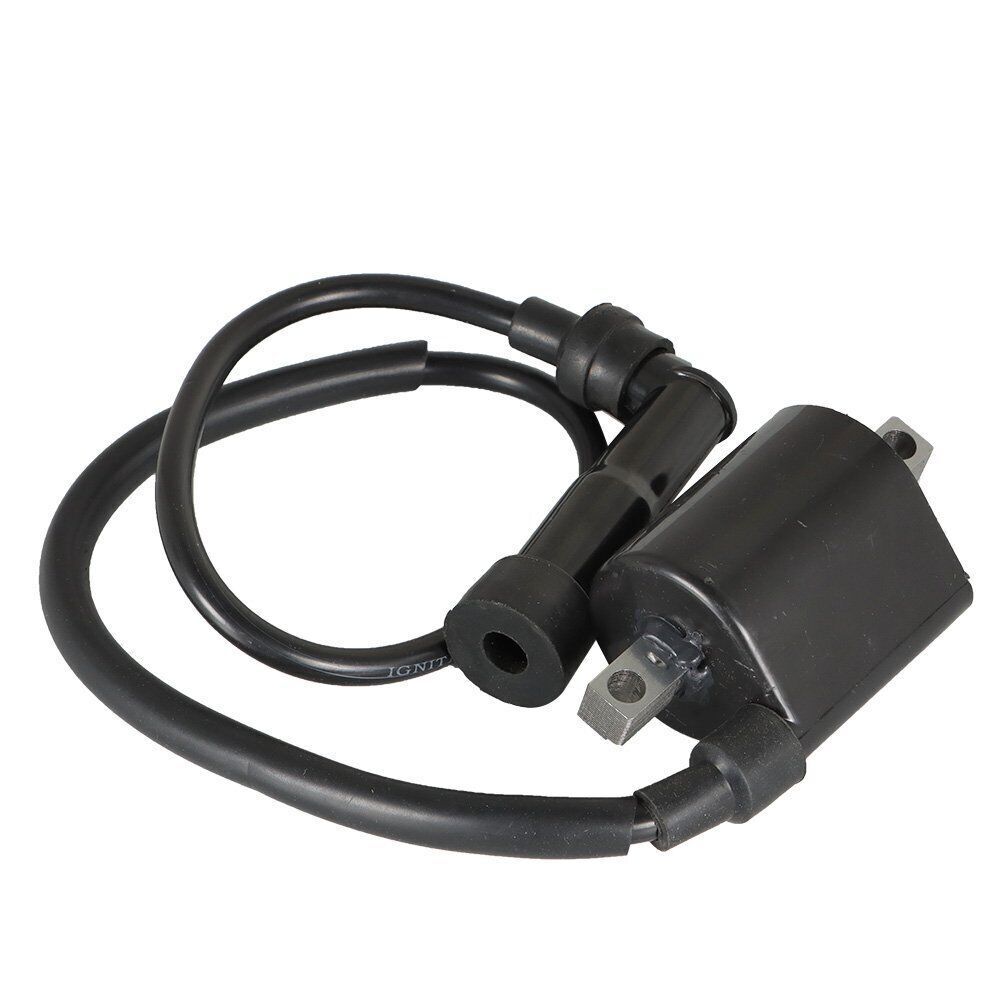 2Pcs For Yamaha Virago XV700 XV750 XV1000 XV1100 42X-82310-70-0 Ignition Coils