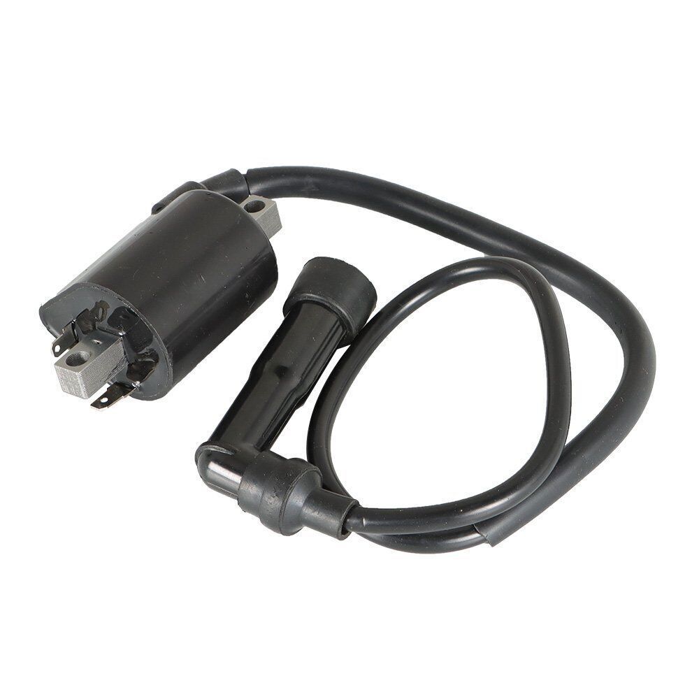 2Pcs For Yamaha Virago XV700 XV750 XV1000 XV1100 42X-82310-70-0 Ignition Coils