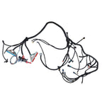 Wiring Harness DBC For 1999-2003 LS1 W/4L60E Fuel Inj. 4.8L 5.3L 6.0L