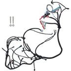 Wiring Harness DBC For 1999-2003 LS1 W/4L60E Fuel Inj. 4.8L 5.3L 6.0L