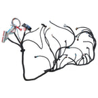 Wiring Harness DBC For 1999-2003 LS1 W/4L60E Fuel Inj. 4.8L 5.3L 6.0L