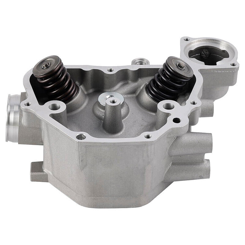 Cylinder Head Valves for Honda Foreman TRX500 Rancher TRX420 ATV 12200-HP7-A01