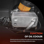 1815904C2 Diesel Engine Oil Cooler Kit for Ford F350 F450 F550 7.3 V8 1994-2003