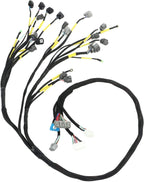 Fit For 92-00 Civic Integra B16 B18 D16 OBD2 D & B-series Tucked Wire Harness