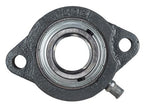 1" Light Duty Two Bolt Flange Bearing BLF205-16G, SBLF205-16G, FHSLF205-16G