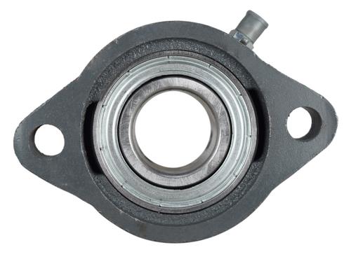 1" Light Duty Two Bolt Flange Bearing BLF205-16G, SBLF205-16G, FHSLF205-16G