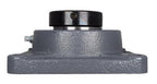 2-7/16" Four Bolt Flange Bearing W/ Collar HCFS212-39, VF4E-239, RCJ-2-7/16