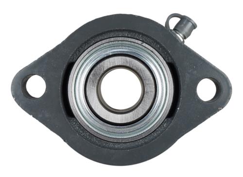 3/4" Light Duty Two Bolt Flange Bearing BLF204-12G, SBLF204-12G FHSLF204-12G