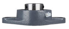 1-9/16" Two Bolt Flange Bearing UCFL208-25, VF2S-225, F2B-SC-109, SFT-25