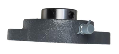 1" Ductile Iron Two Bolt Flange Bearing SBFTD205-16G VF2S-100M LFT-SC-100 LFT-16