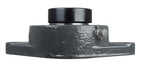 1-1/2 Two Bolt Flange Bearing W/ Lock Collar HCFT208-24 VF2E-224 RCJT-1-1/2