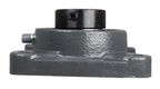 1-1/4" Four Bolt Flange Bearing W/ Collar HCFS206-20 NANF206-20