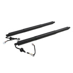 Tailgate Lifters Left & Right for Highlander 2021-23 68910-0E070 68920-0E05 2Pcs