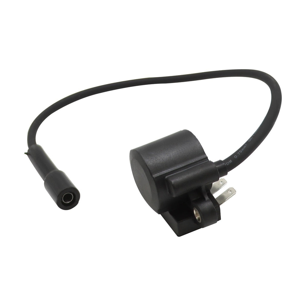 Digital Spark Advanced Ignition Module for Kohler DSAI 12-707-01-S
