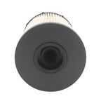 Fleetguard Fuel Filter PF7978 FS19947 P550824 32723C91 for MaxxForce Engines
