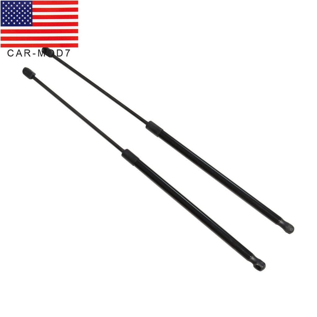 Toyota Camry 2018-2023 Hood Strut Lift Support Pair 2PCS New Panel